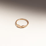Anillo Infinito